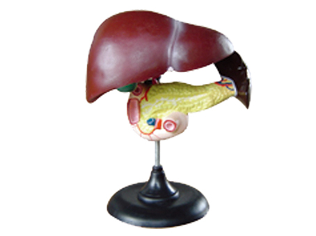 SD-093 33216ʮ֬cKģ